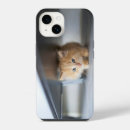 Search for fluffy kitten iphone cases Cat