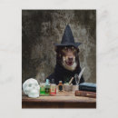 Search for potions postcards Spell