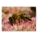 Search for beekeeper cards Apiarist