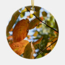 Search for falls christmas tree decorations Autumn