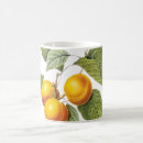Search for redoute mugs Illustration