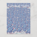 Search for moles postcards Cartoon