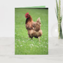 Search for hens cards Bird