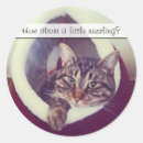 Search for brown tabby cat stickers Pet