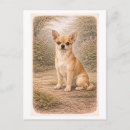 Search for chihuahua illustration postcards Animal