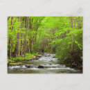 Search for great smoky mountains national park postcards Creek