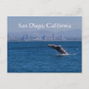 Search for breach postcards California