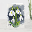 Search for snowdrop flower cards Flowers