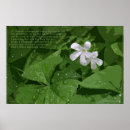 Search for st pattys day clover shamrock posters Ireland