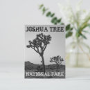 Search for white tree postcards National park