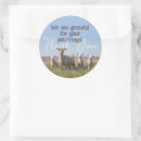 Search for fibre stickers Sheep