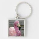 Search for andean key rings Bird