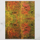 Search for leaves scrapbook paper Colourful