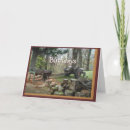 Search for chevy cards Collector