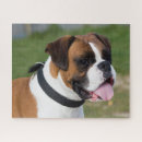 Search for boxer puzzles Puppies