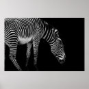 Search for equine for art Animal