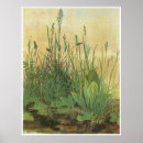 Search for turf posters Albrecht durer