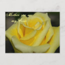 Search for happy other Roses