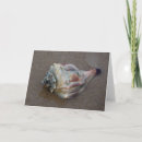 Search for seashore note cards Nautical