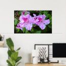 Search for azalea posters Nature