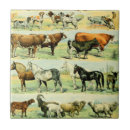 Search for farm animal tiles Cow