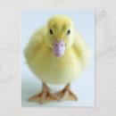 Search for welcome baby postcards Cute
