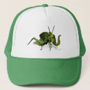 Search for insect hats Cricket