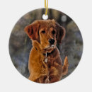 Search for mutt christmas tree decorations Animal