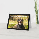 Search for you are special birthday cards Photography