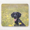 Search for vitality mousepads Outdoors