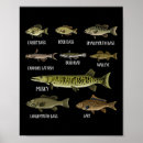 Search for freshwater fishing posters Vintage