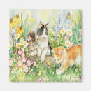 Search for cat breeds magnets Kittens