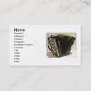 Search for accordion business cards Musician