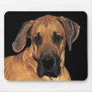 Search for dane mousepads Dogs