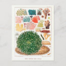 Search for great barrier reef postcards Travel