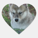 Search for baby wolf stickers Wolves