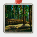 Search for giants the christmas tree decorations Forest