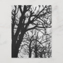 Search for michel postcards Black and white