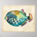 Search for aquarium posters Blue