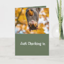 Search for squirrel get well cards Animal