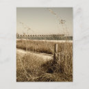 Search for myrtle beach vertical postcards Grand strand
