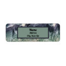 Search for band return address labels Elegant
