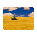 Search for for terry magnets Outdoor