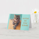 Search for big cat cards Kitty