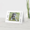 Search for great dane cards Photography