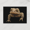 Search for toad business cards Animal