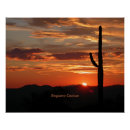 Search for saguaro art Nature
