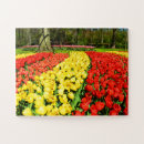 Search for holland tulips puzzles Yellow