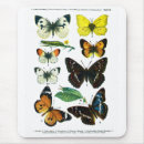 Search for plate mousepads Butterfly