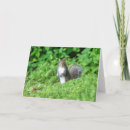 Search for squirrel hello cards Rodent